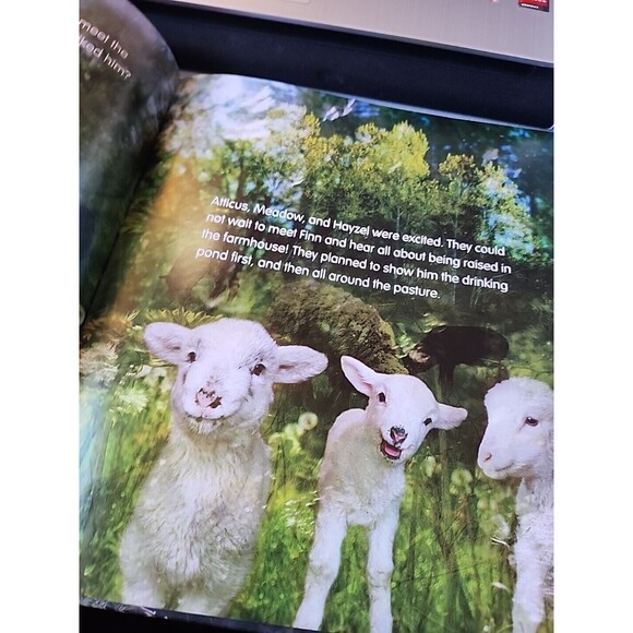 Brave Little Finn by John Churchman and Jennifer Churchman (2016, Picture Book) - Picture 6 of 9